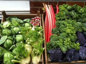 Beautiful vegetables at The Albion